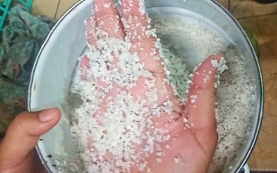 Diduga Bermasalah, Beras Premium Dibeli Warga Baubau Hancur Saat Dicuci