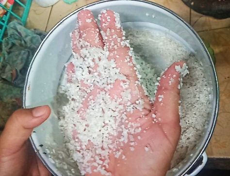 Diduga Bermasalah, Beras Premium Dibeli Warga Baubau Hancur Saat Dicuci