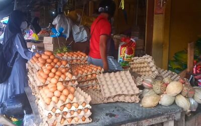 Harga Telur “Meledak” di Pasar Wameo, Distribusi Diduga Jadi Pemicu, Pengawasan Pemerintah?