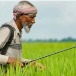 Krisis Alat Pelindung Diri Pada Petani Penyemprot Pestisida