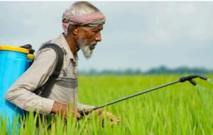 Krisis Alat Pelindung Diri Pada Petani Penyemprot Pestisida