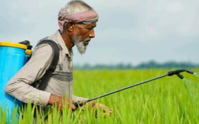 Policy Brief: Krisis Alat Pelindung Diri Pada Petani Penyemprot Pestisida
