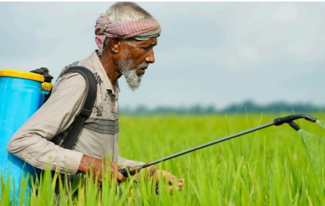 Krisis Alat Pelindung Diri Pada Petani Penyemprot Pestisida
