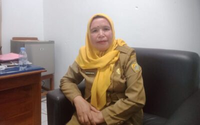 Jasa PPPK Paruh Waktu Nakes Tertunggak Sebulan, Dinkes Nilai Puskesmas Lambat Kumpul Berkas