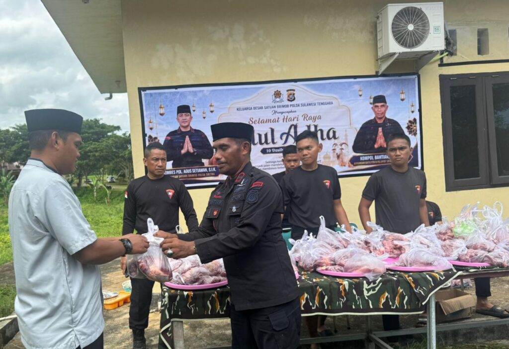 Setahun Menabung, Personel Brimob Sultra Kurbankan 28 Ekor Sapi di Busel