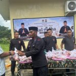 Setahun Menabung, Personel Brimob Sultra Kurbankan 28 Ekor Sapi di Busel